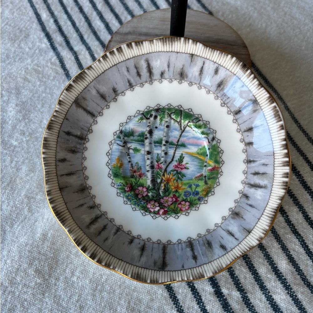 🍃💕 Vintage Royal Albert Bone China  Birch Tree Floral Saucer